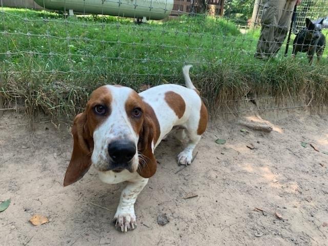 Creekside Resort Walworth