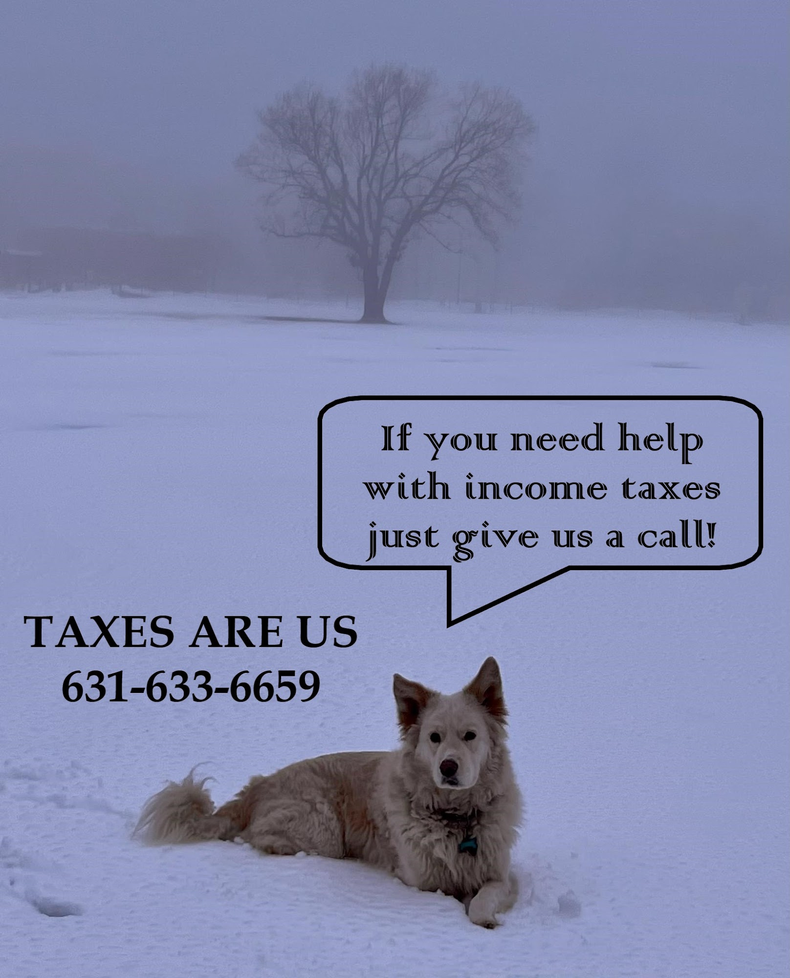 Taxes Are Us