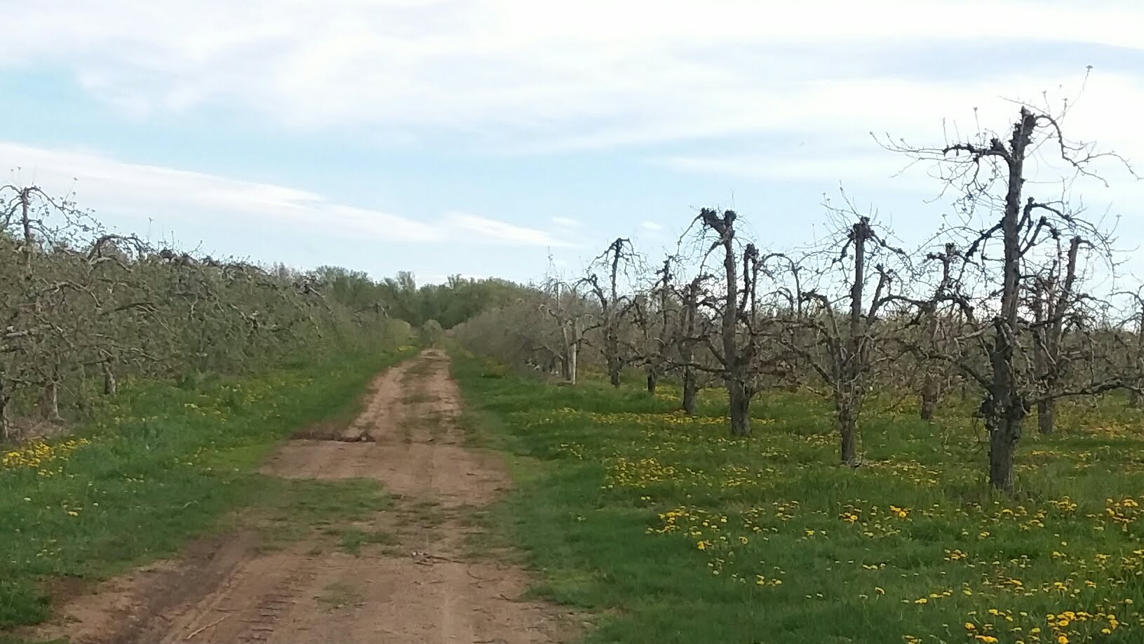 Lagoner Farms