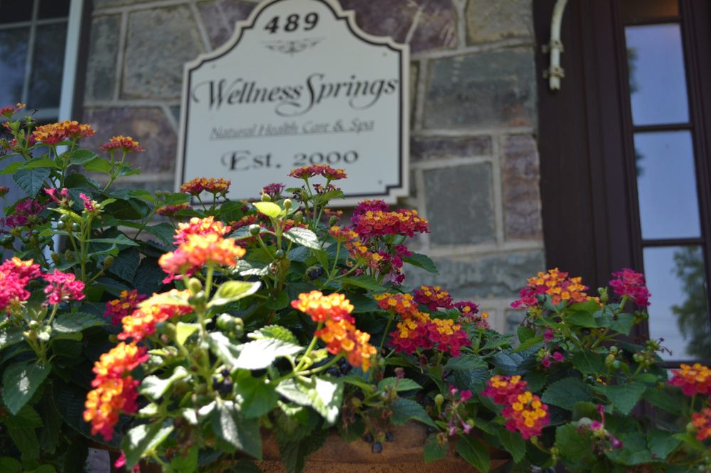 Wellness Springs, Natural Health Care, Holistic Day Spa and The Wellness Studio