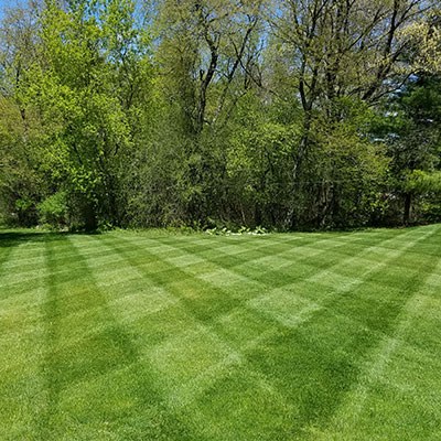 Got Grass? Lawn Care, LLC & Snow Plow Service