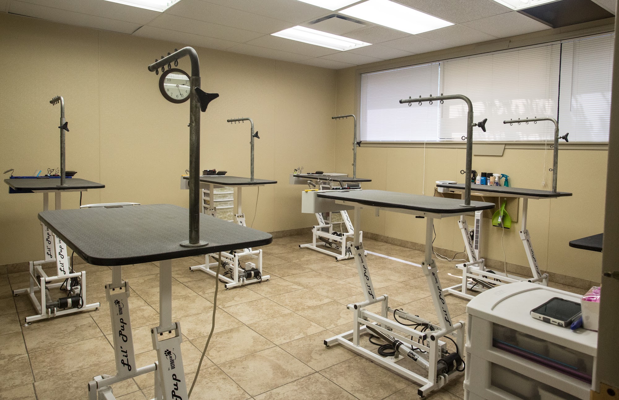 Polished Paws Salon & Boutique Avon Lake