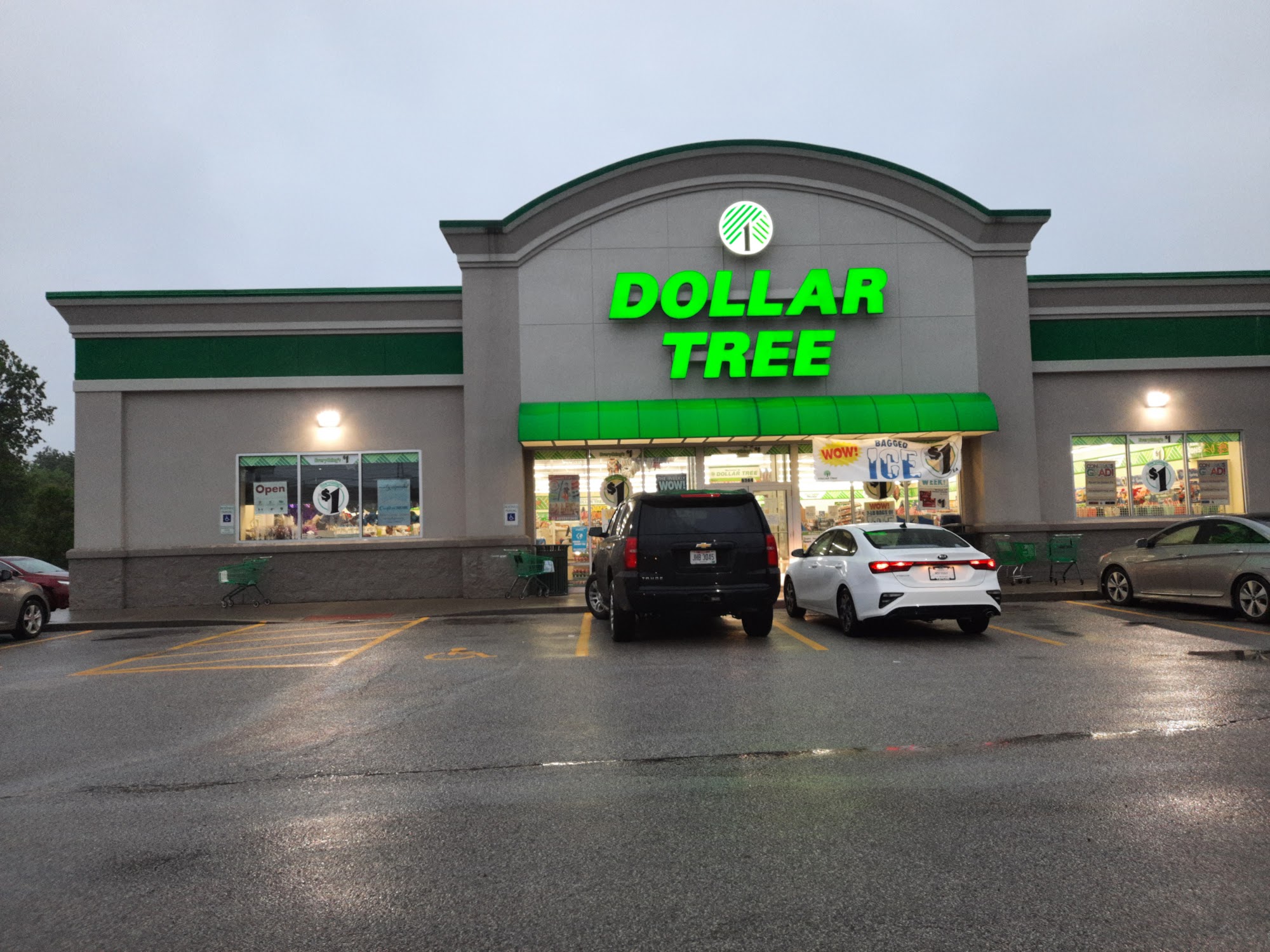 Dollar Tree