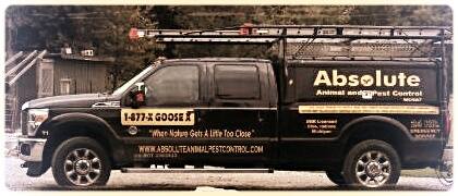 Absolute Animal & Pest Control 12737 Co Rd H, Bryan Ohio 43506