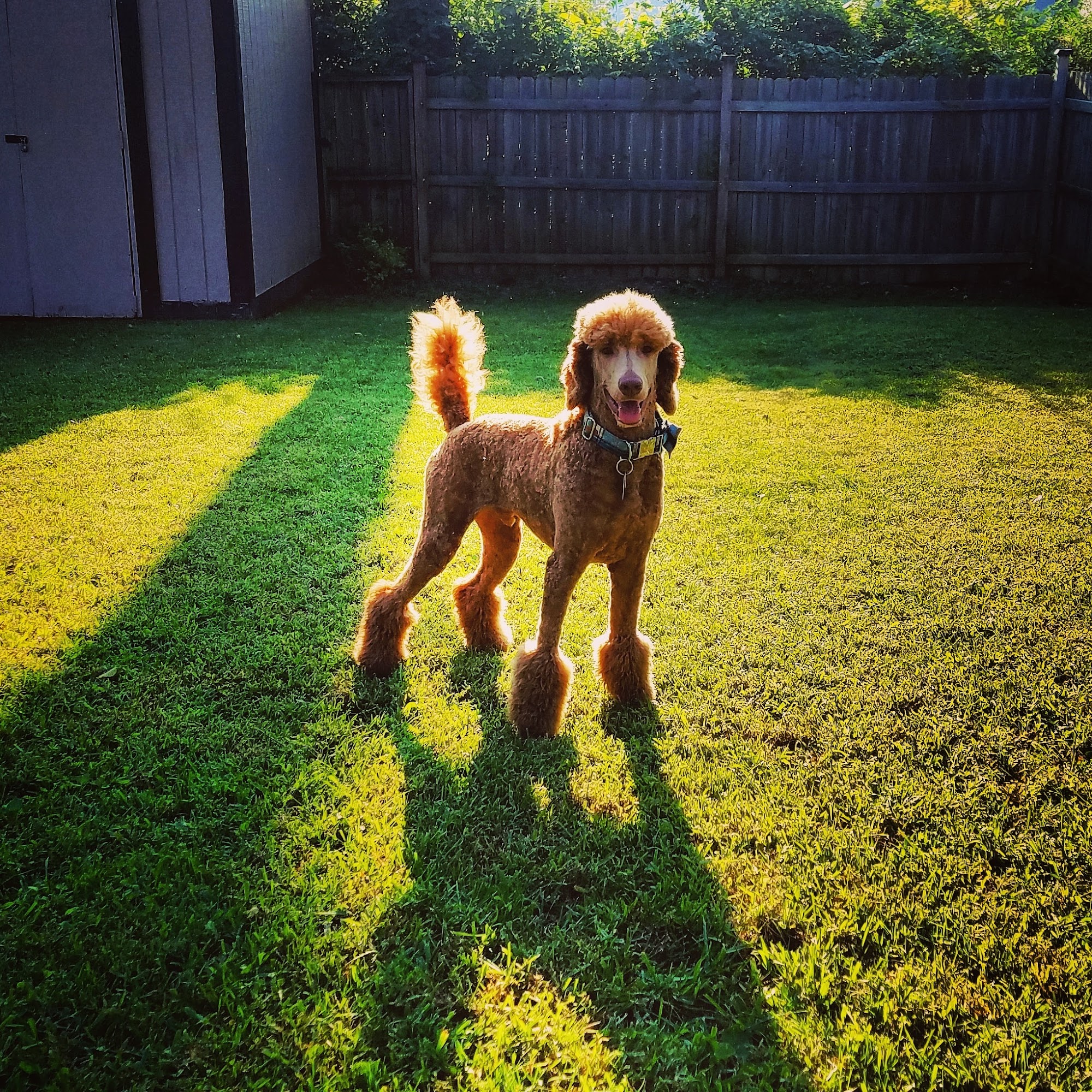 Personal Touch Canal Winchester