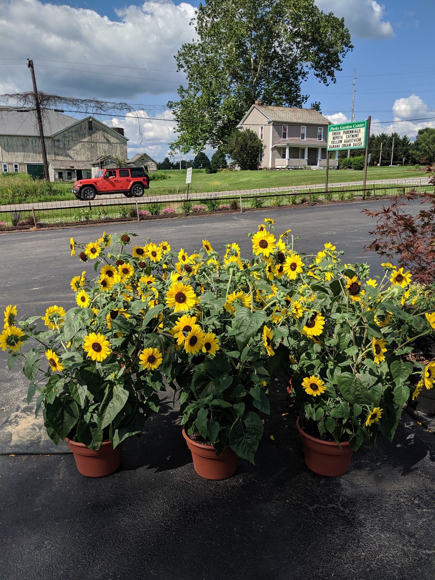 Parks Garden Center