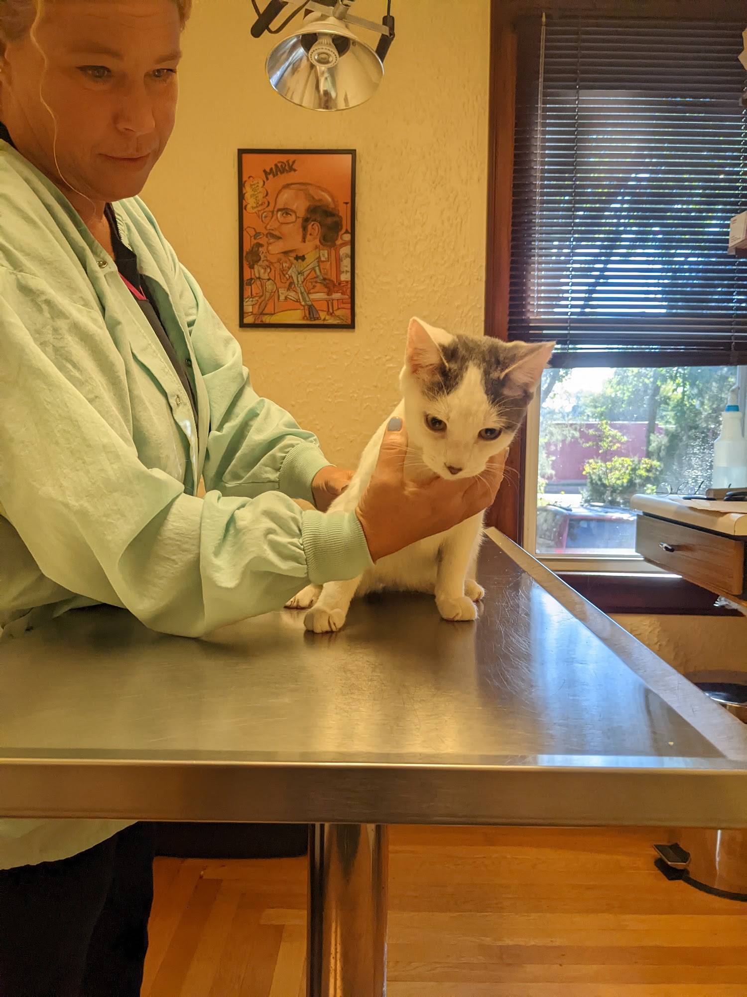 Appletree Pet Clinic