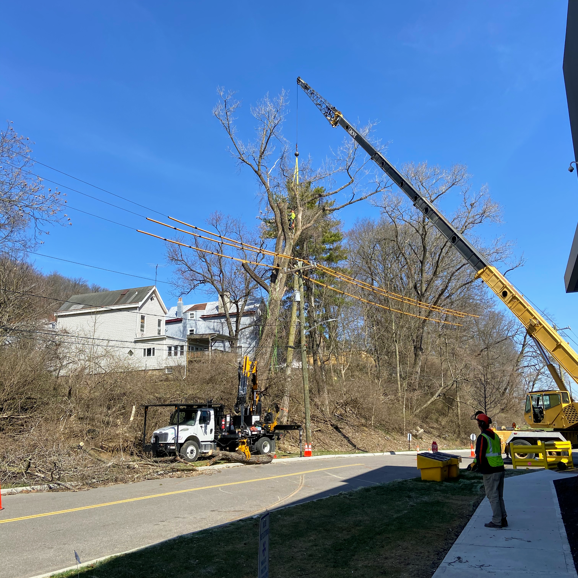 ArborCare Tree Service