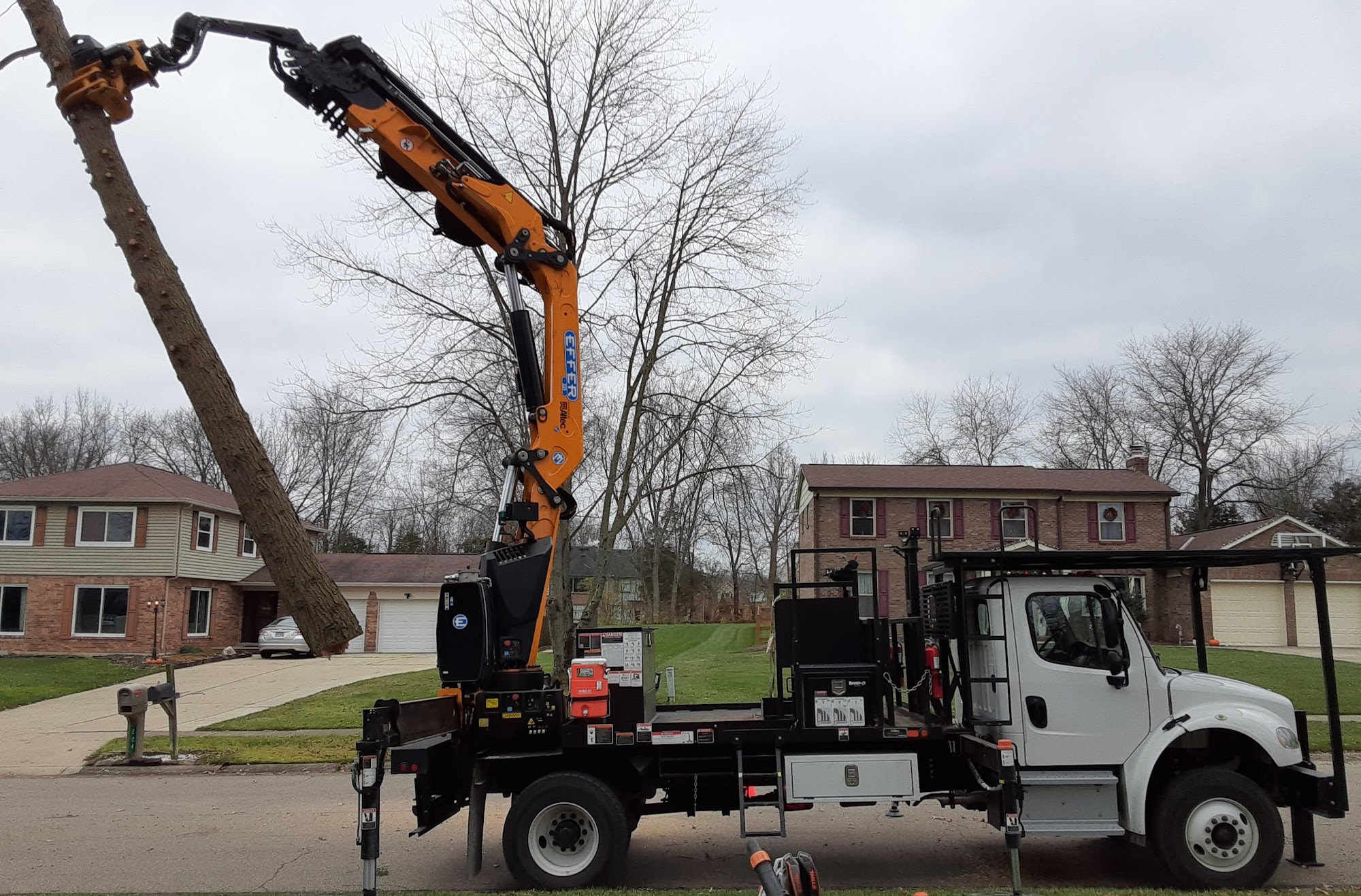 ArborCare Tree Service