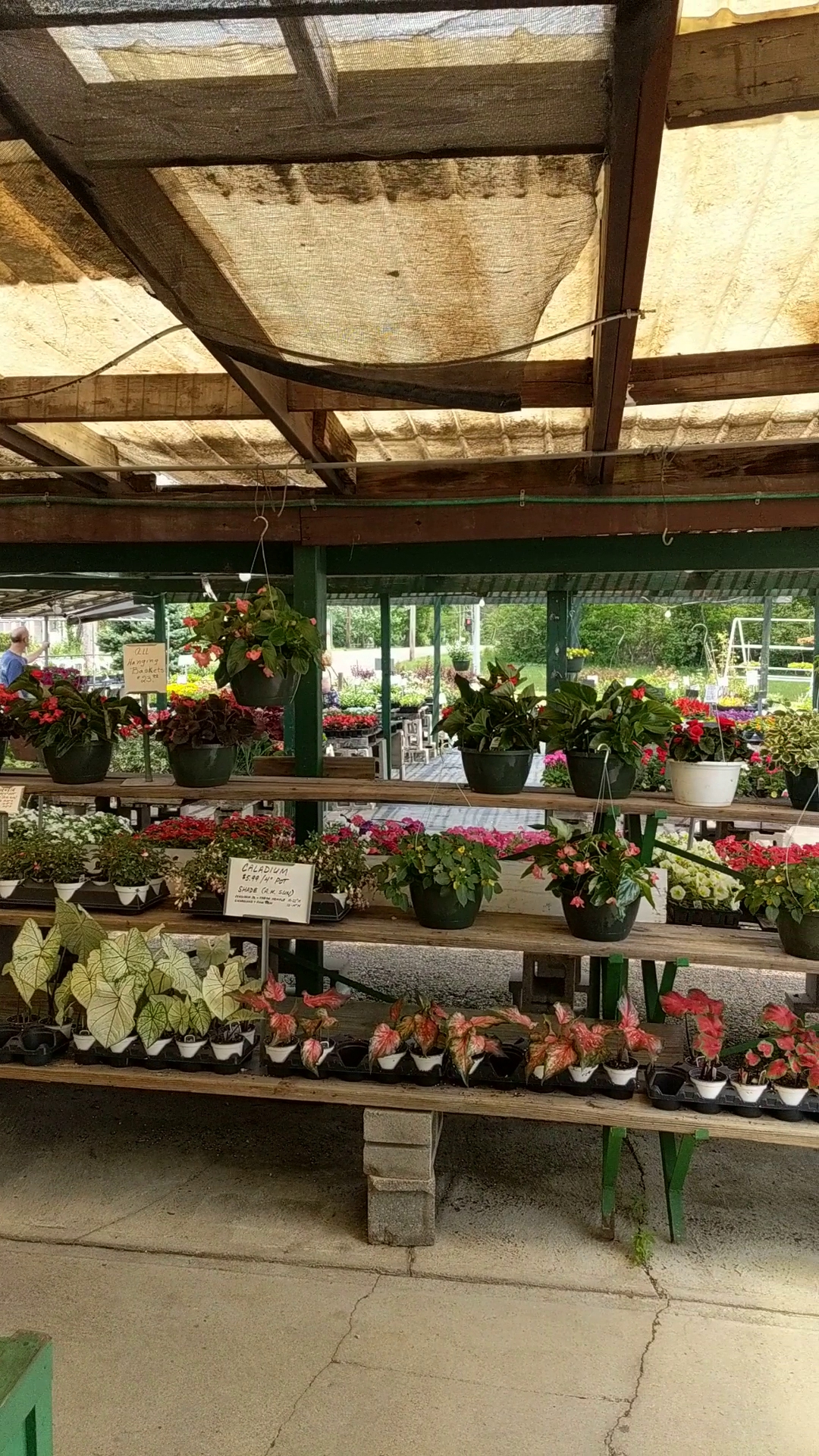 Winton Woods Garden Center and Florist (Shroyer Nursery)