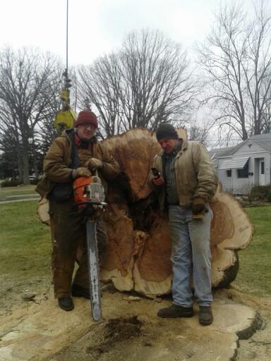 TOWN & COUNTRY TREE SERVICE 16011 W River Rd, Columbia Station Ohio 44028