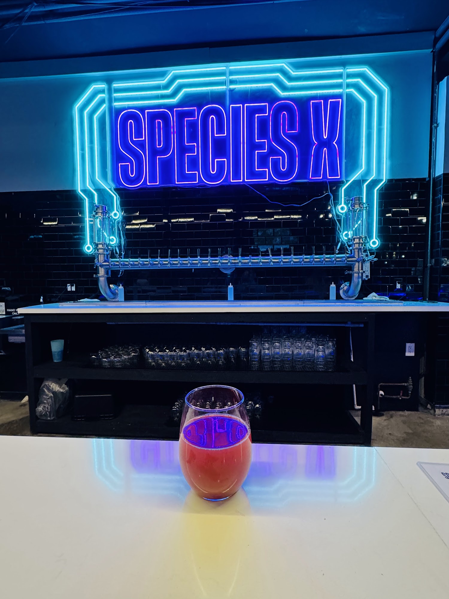 Species X Beer Project