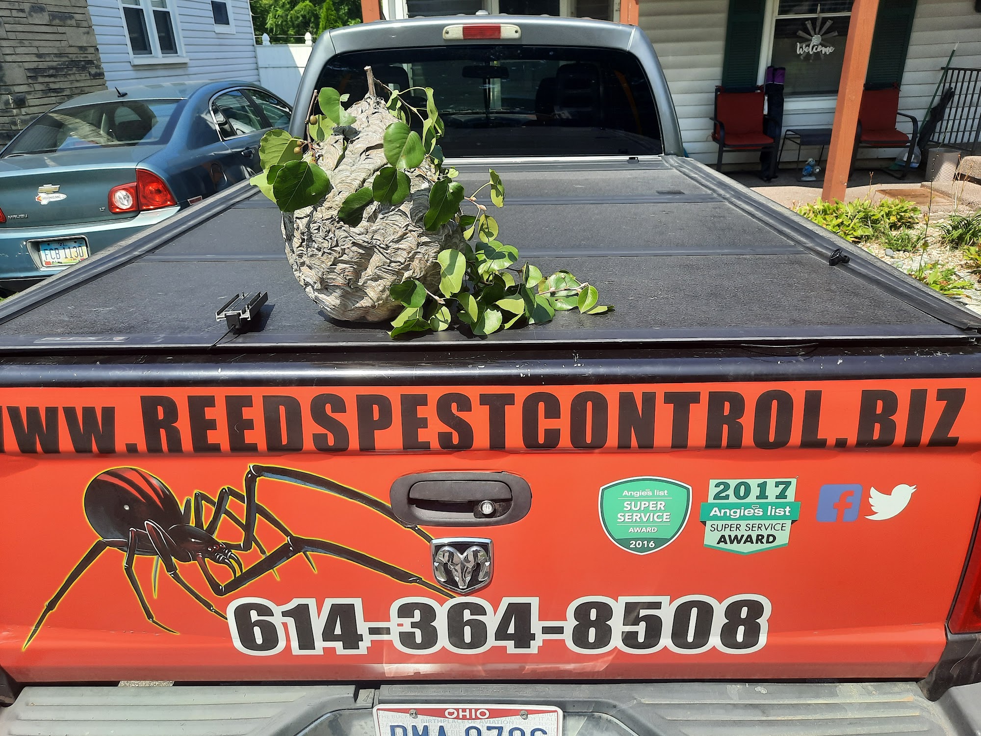 Reed's Pest Control