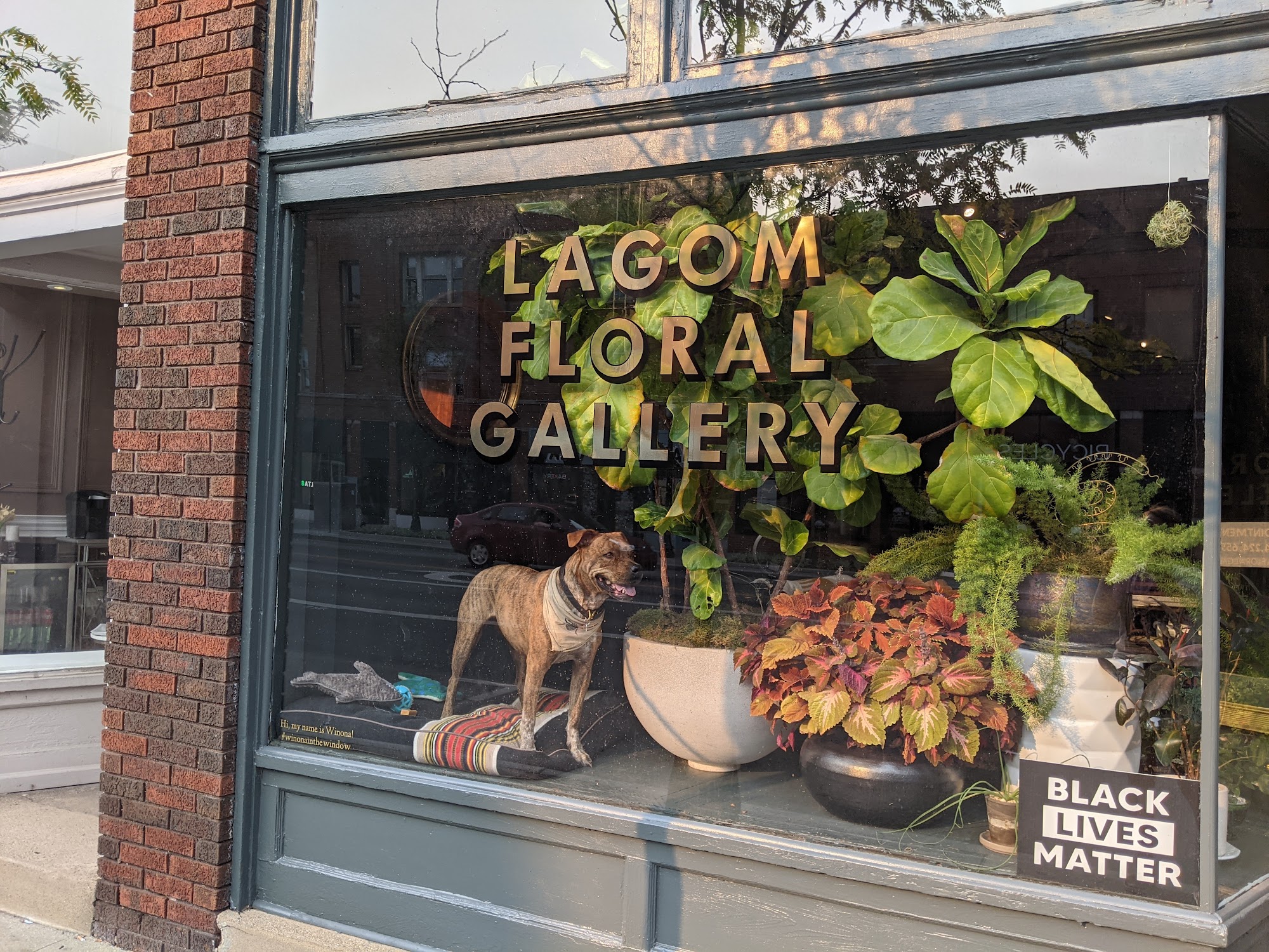 Lagom Floral Gallery