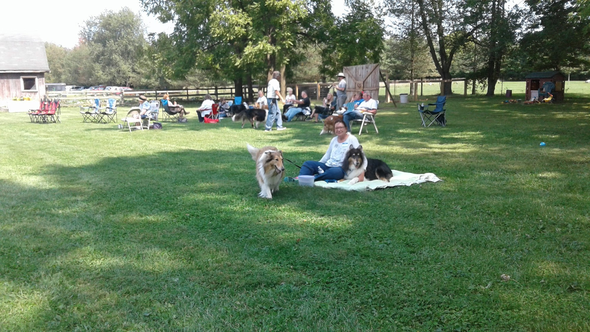 My-T-Fine Kennels Delaware
