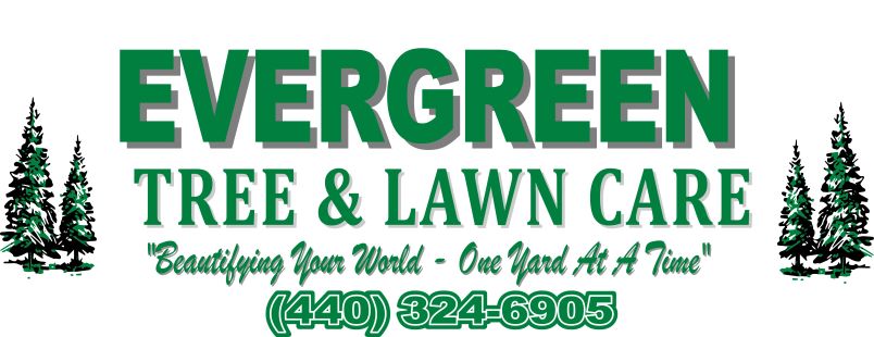 Evergreen Tree & Lawncare Inc