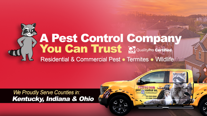 Perfection Pest Control