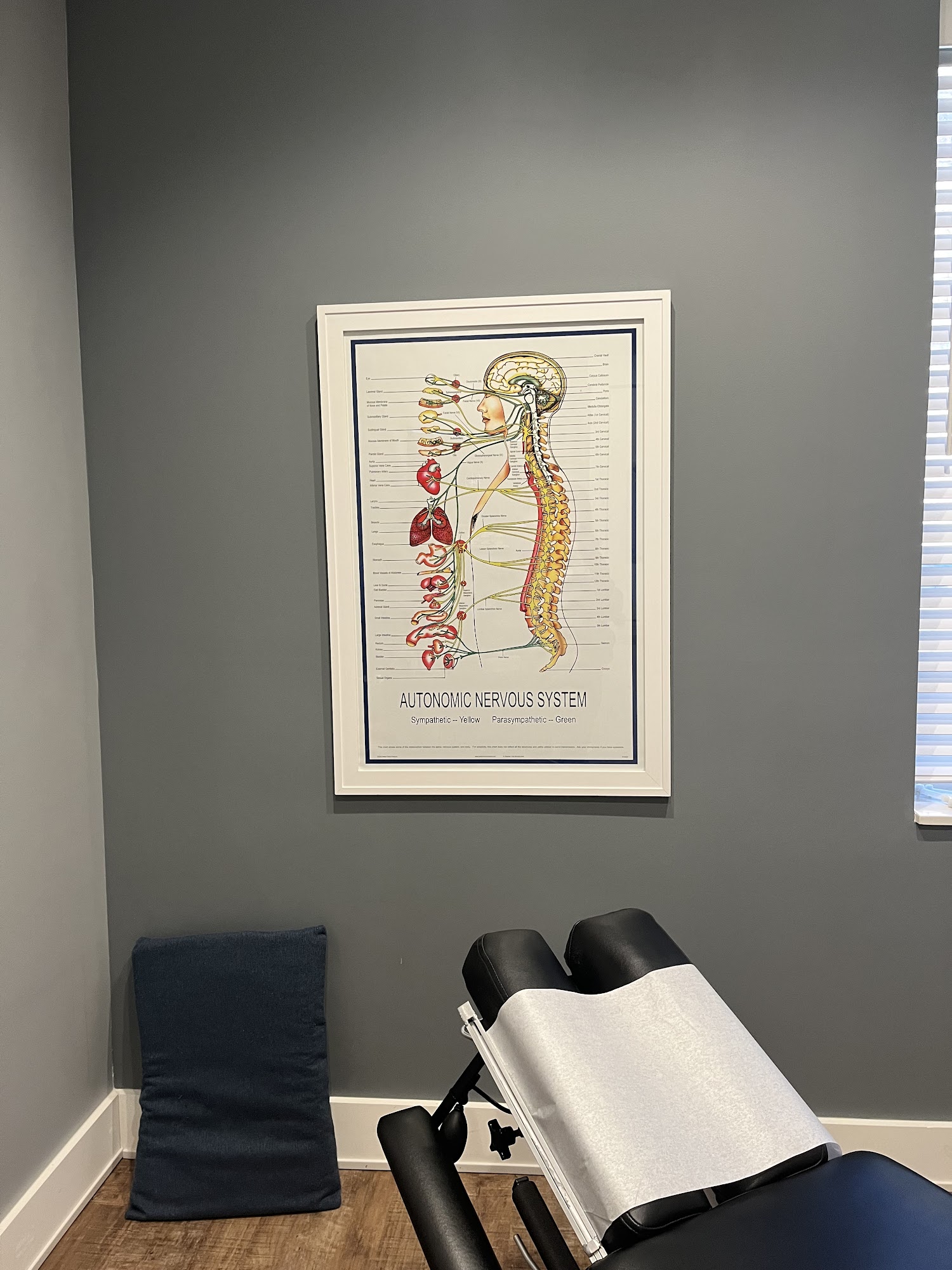 Peak Family Chiropractic