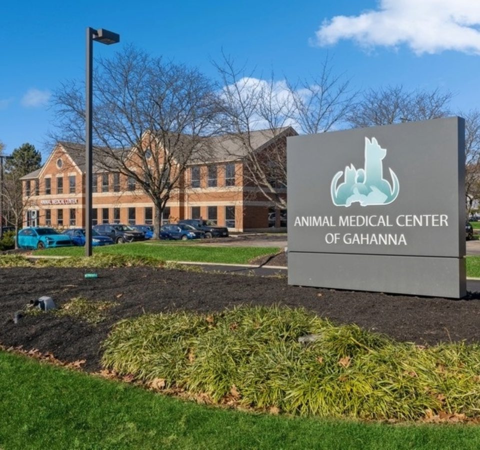 Animal Medical Center of Gahanna