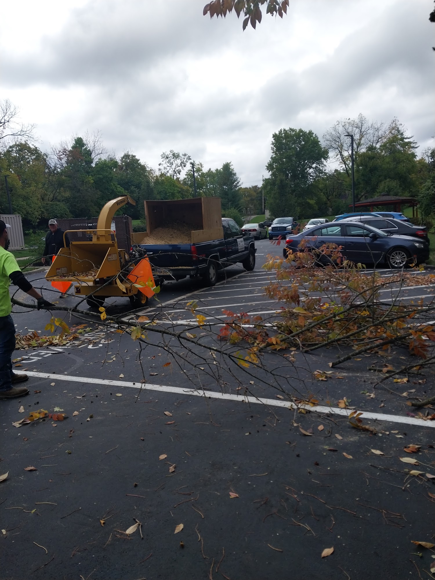 B&A Tree Services and Stump Removal