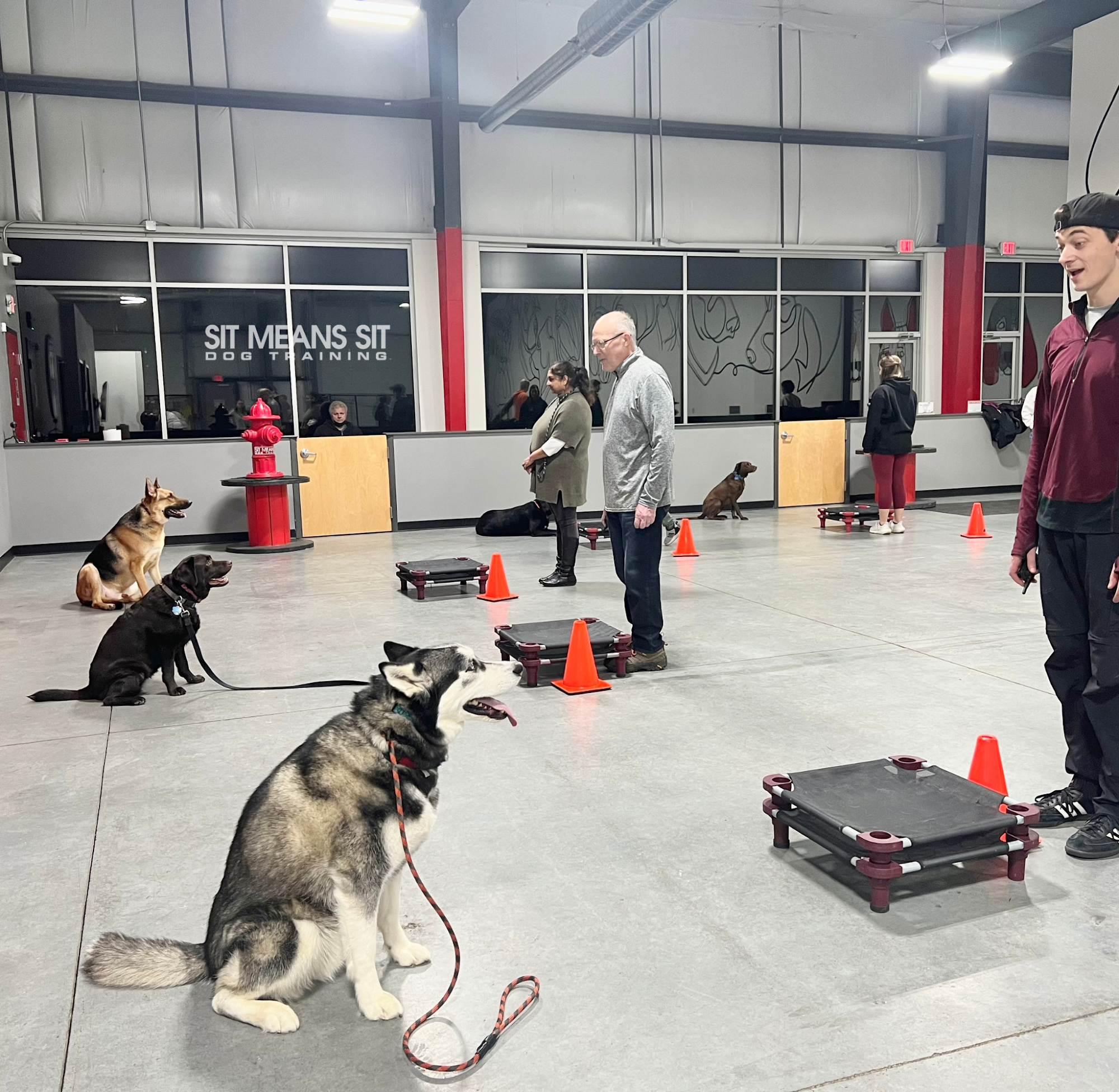 Sit Means Sit Cincinnati Lebanon