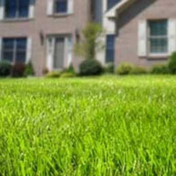 Miles of Green Lawn Care LLC