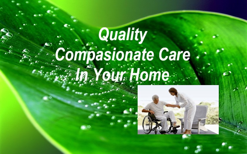 Caring home care