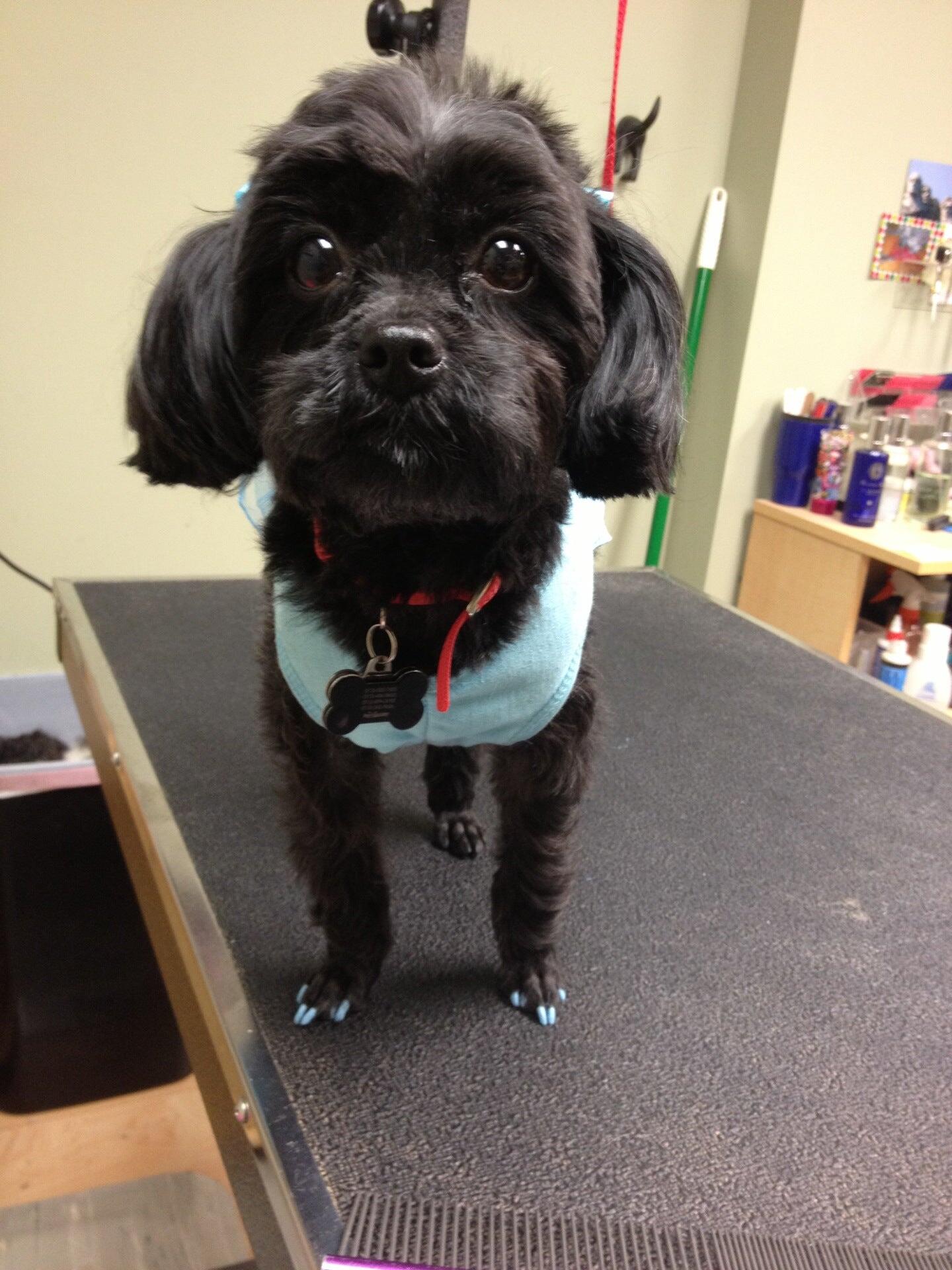 Trish's Loving Clips Mason