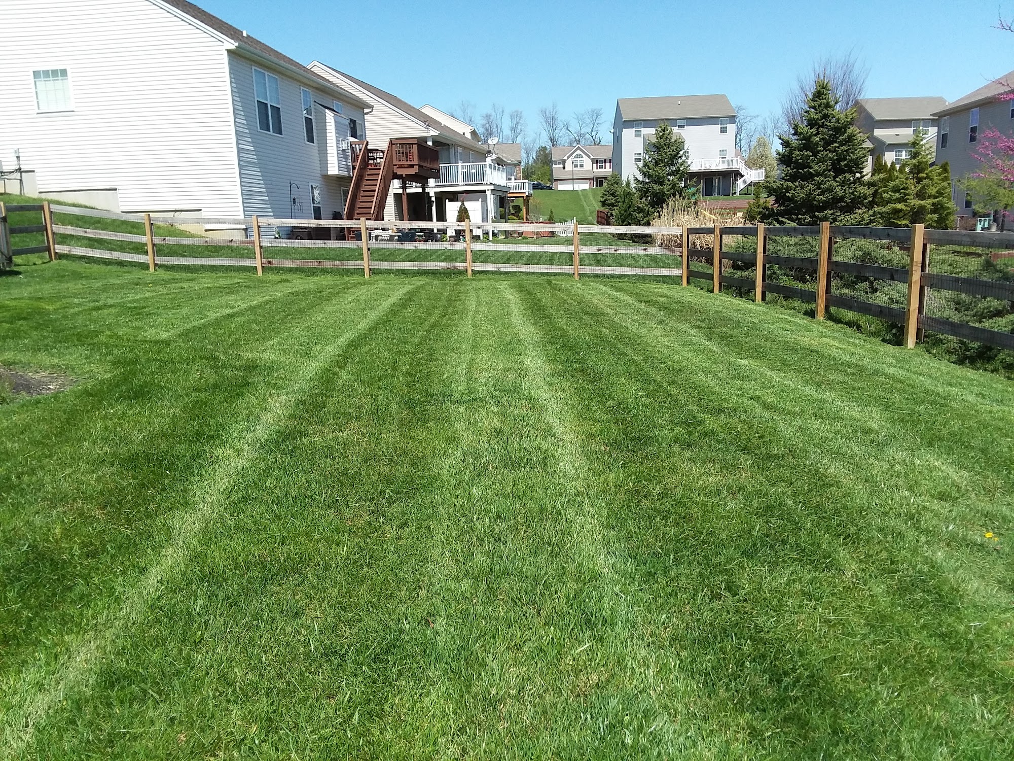 Matt's Miracle Lawn