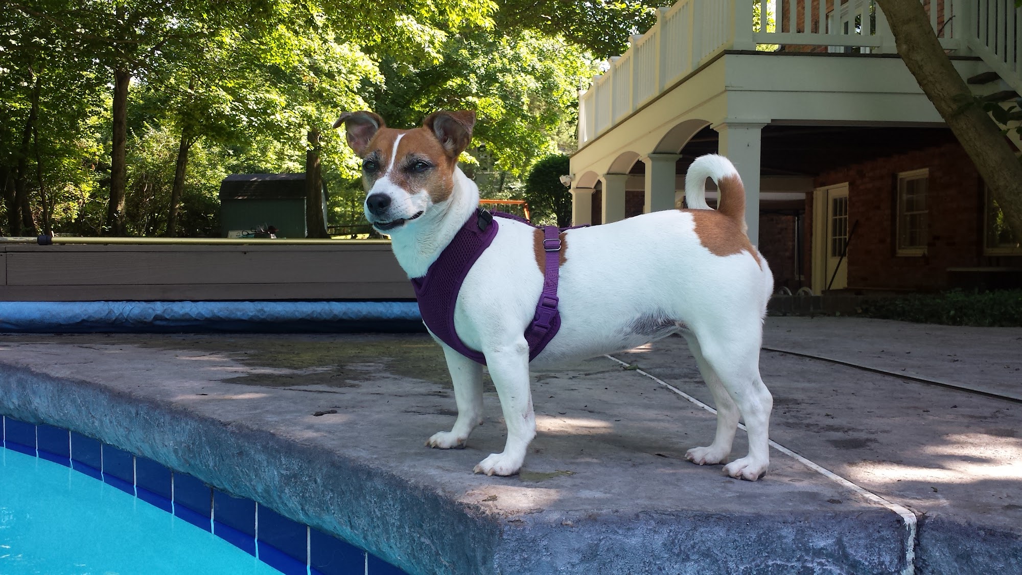 Bark Fitness Middletown