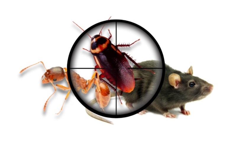 A-L-S Pest Control / Middletown Oh