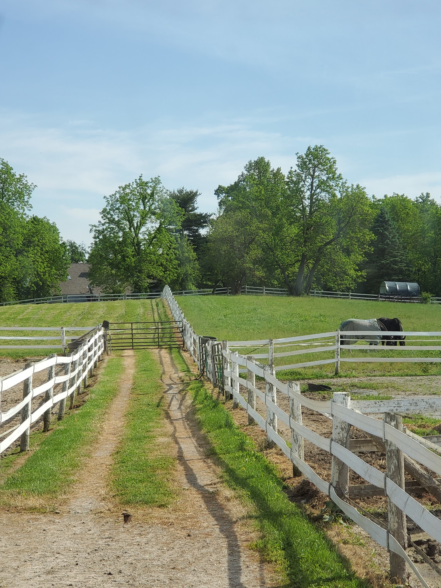 Good Thunder Veterinary Services 10164 W National Rd, New Carlisle Ohio 45344