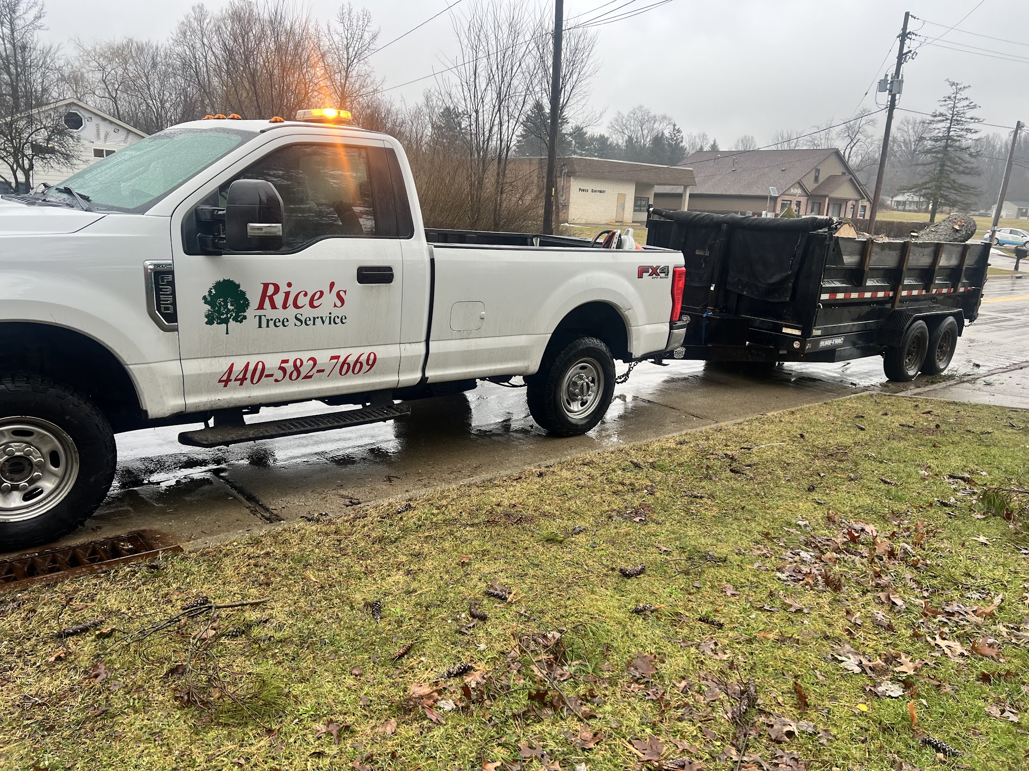 Rice's Tree Service & Landscaping