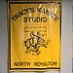 Tracy's Karate North Royalton