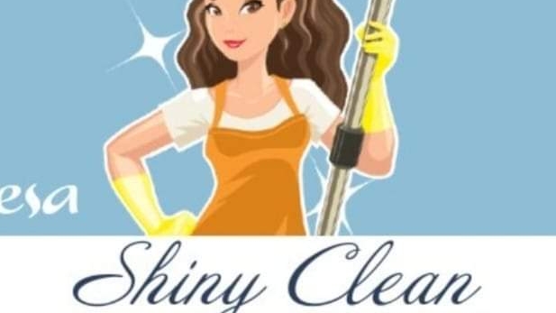 Shiny Clean LLC 8651 Lindbergh Blvd, Olmsted Falls Ohio 44138