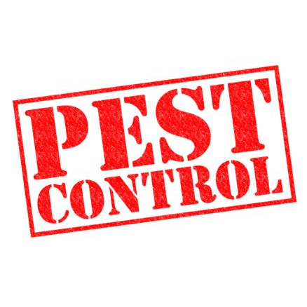 Economy Pest Control
