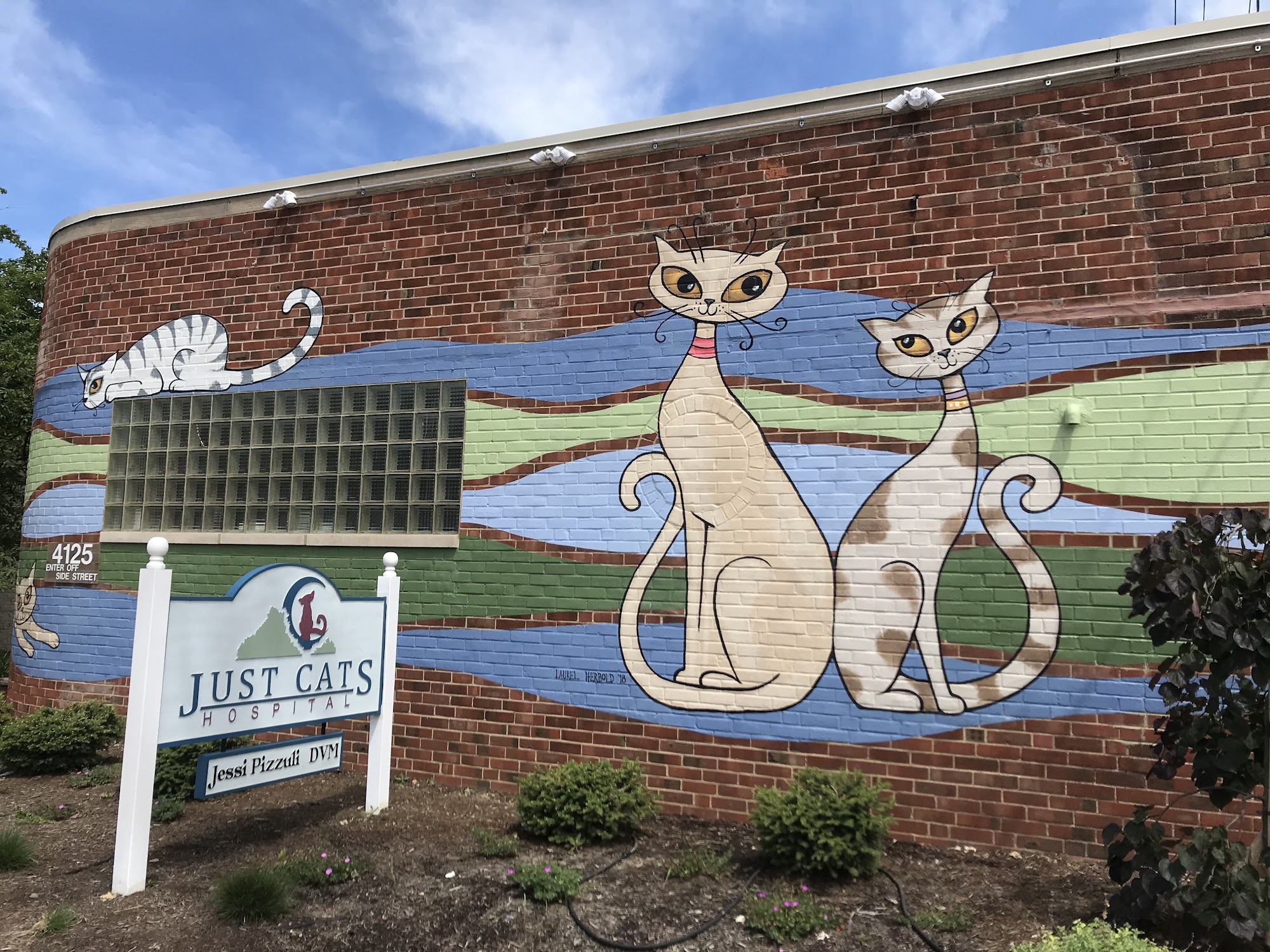 Just Cats Hospital 4125 Mayfield Rd, South Euclid Ohio 44121