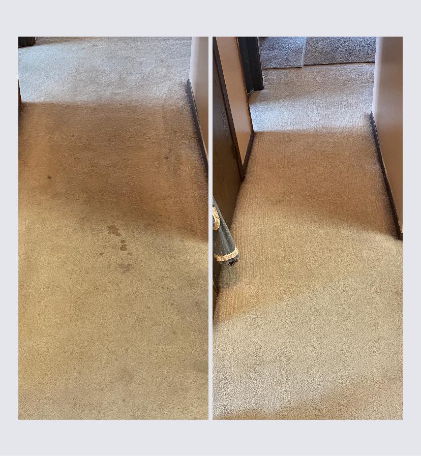Ecozyme Carpet Clean