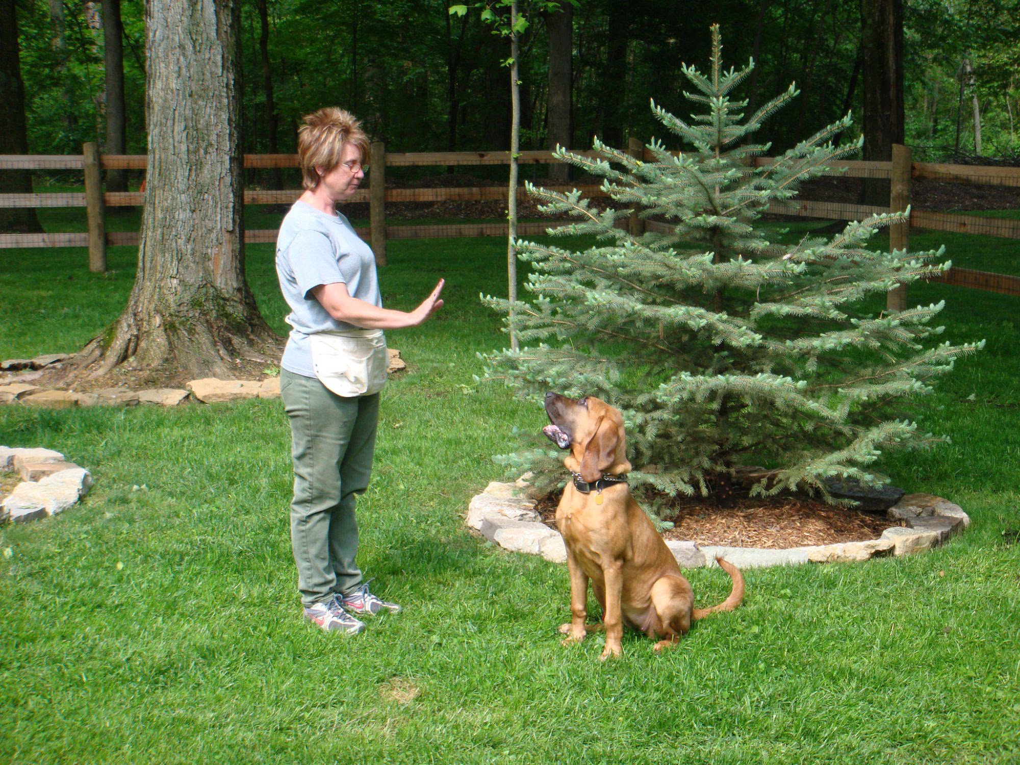 Old Stage Kennel Waynesville