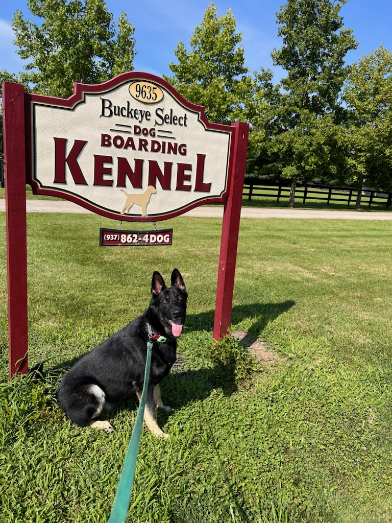 Buckeye Select Kennels Waynesville