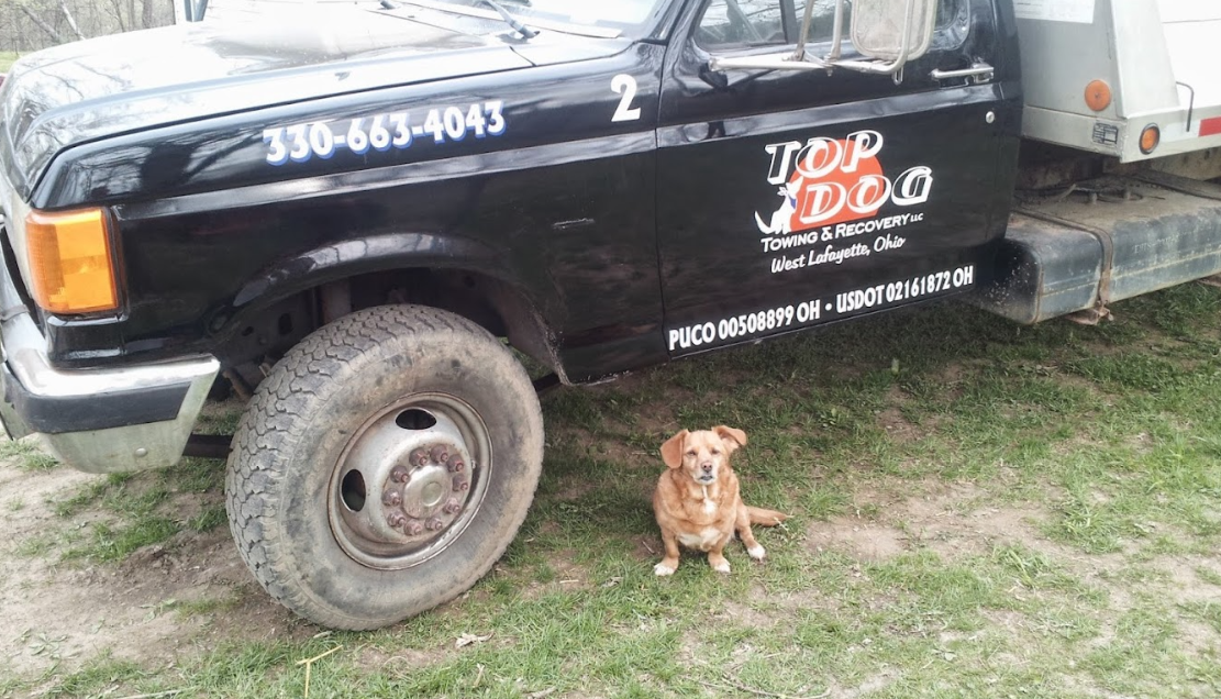 Top Dog Towing and Recovery LLC