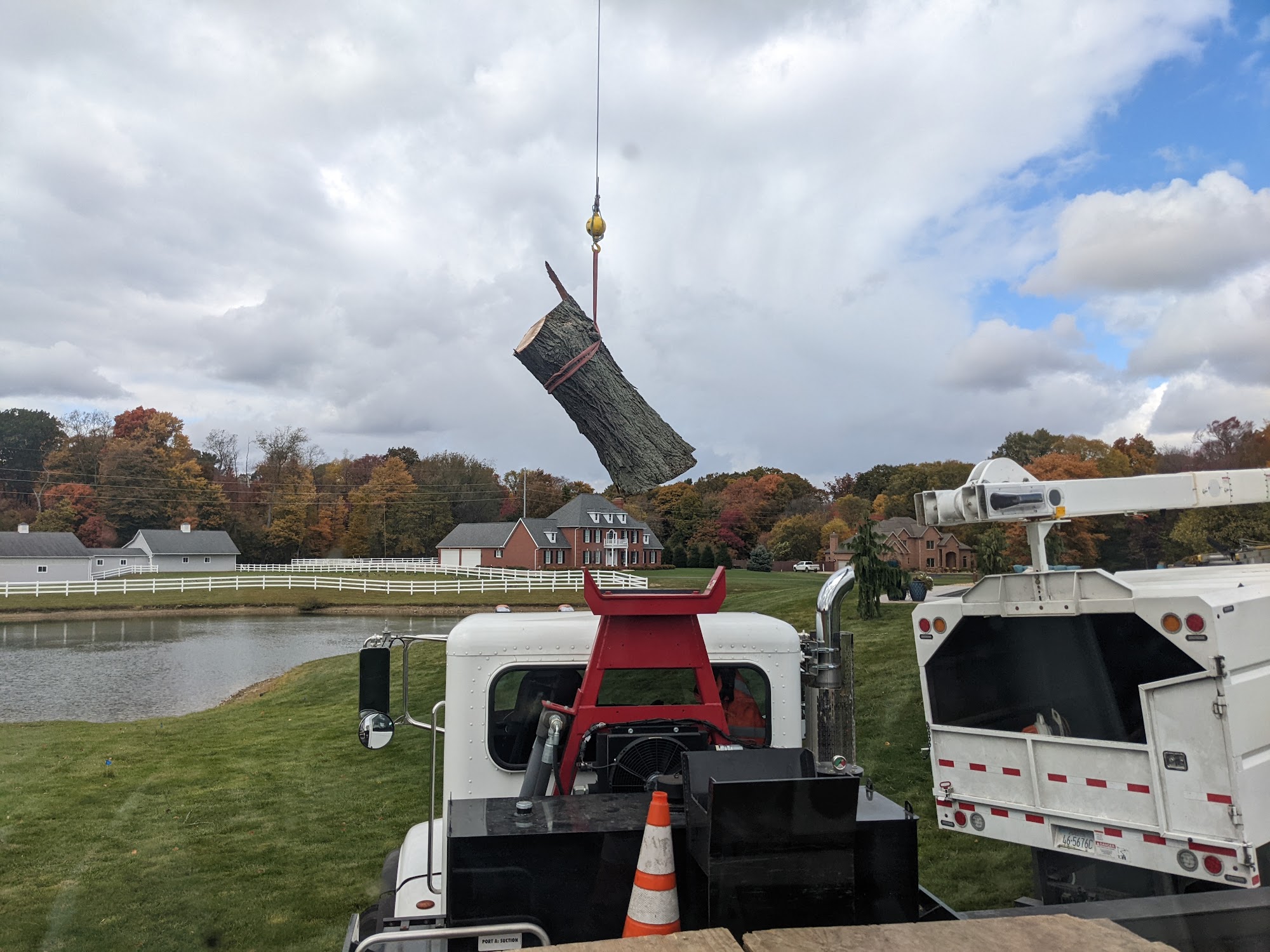 Tree Tender LLC 13751 Congress Rd, West Salem Ohio 44287