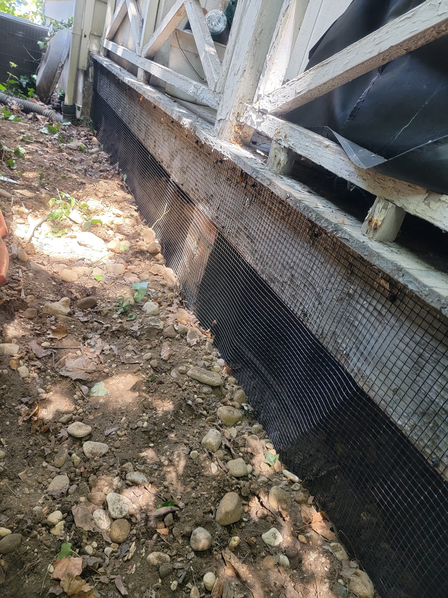 Varment Guard Wildlife Services