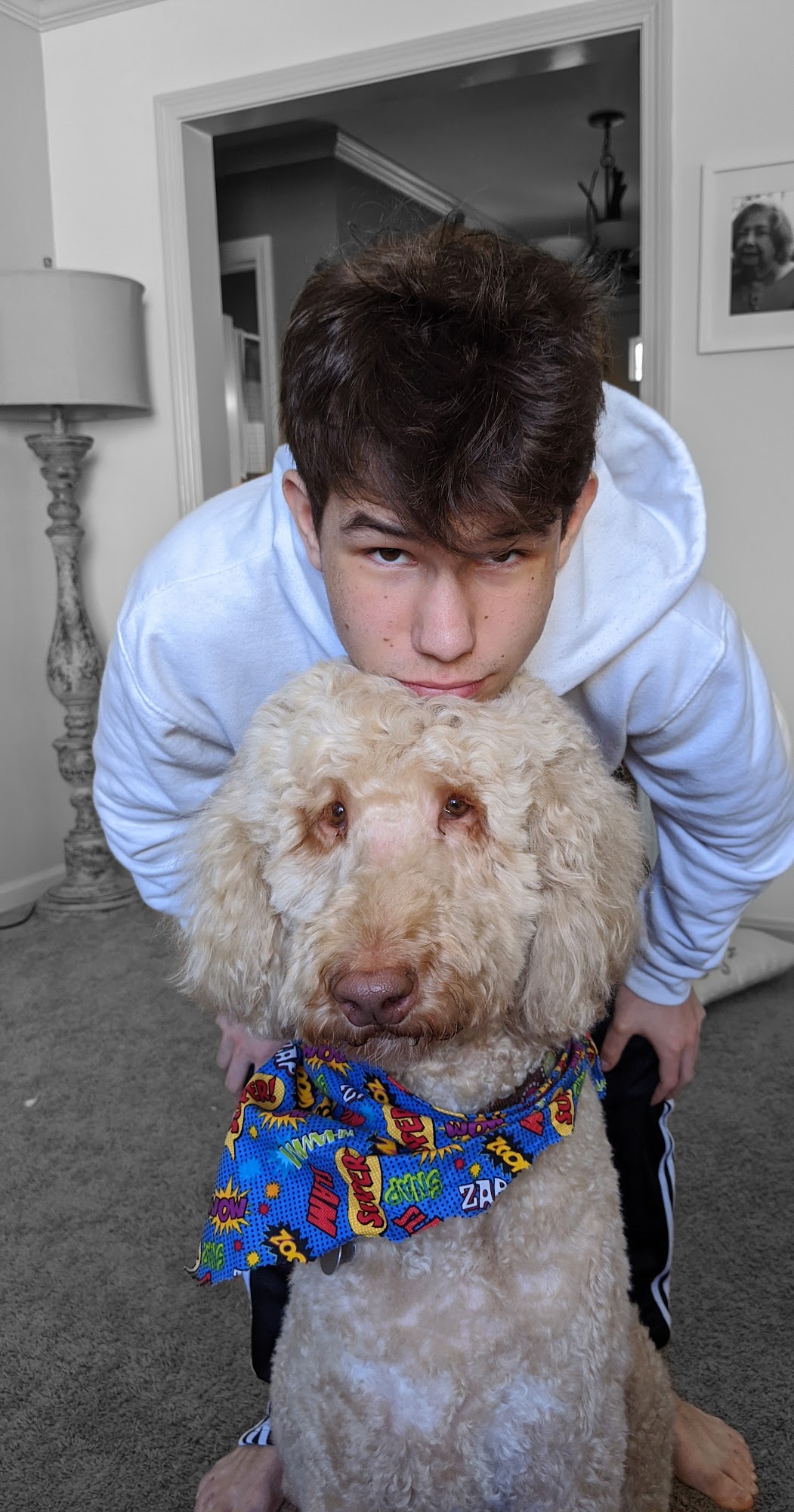 Nancy's Grooming Youngstown