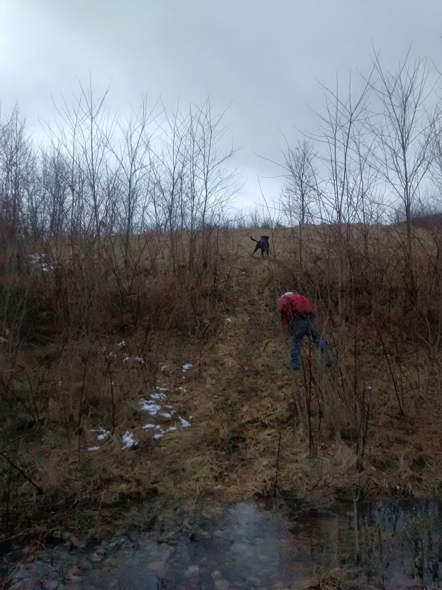 Shriver Heating & Air Conditioning