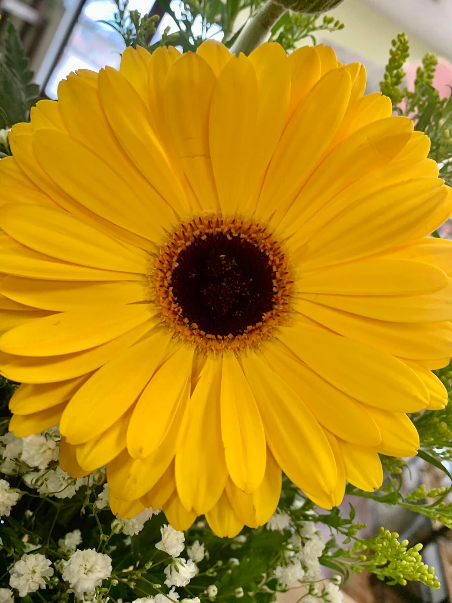 Prairie Sunshine Flowers 1904 W Gary Blvd, Clinton Oklahoma 73601
