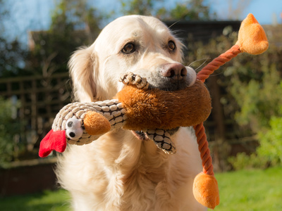 Deer Creek Animal Clinic of Edmond, Oklahoma