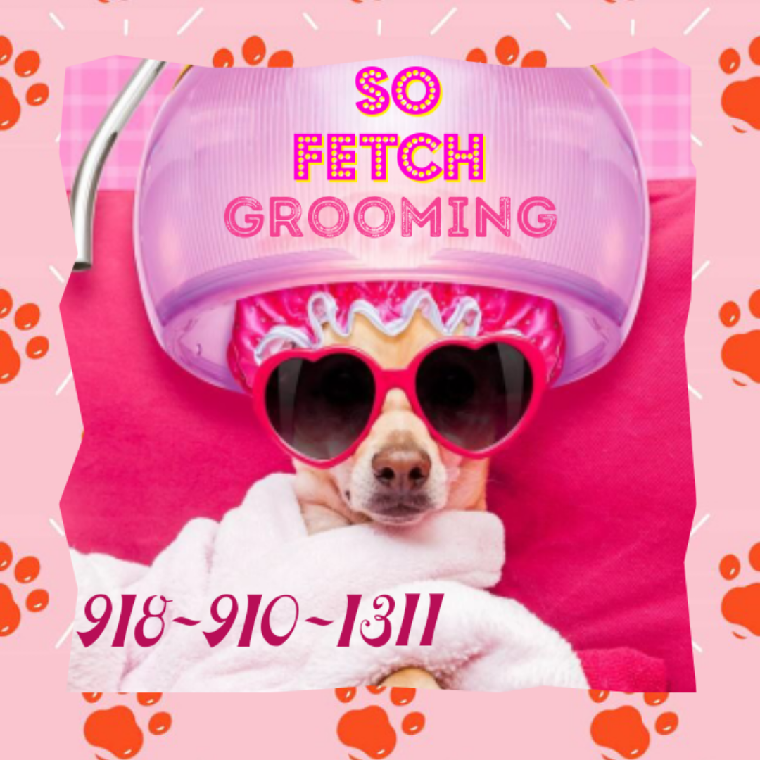 So Fetch Grooming