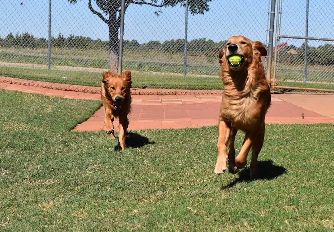 Lucky Dog Lodge Oklahoma City