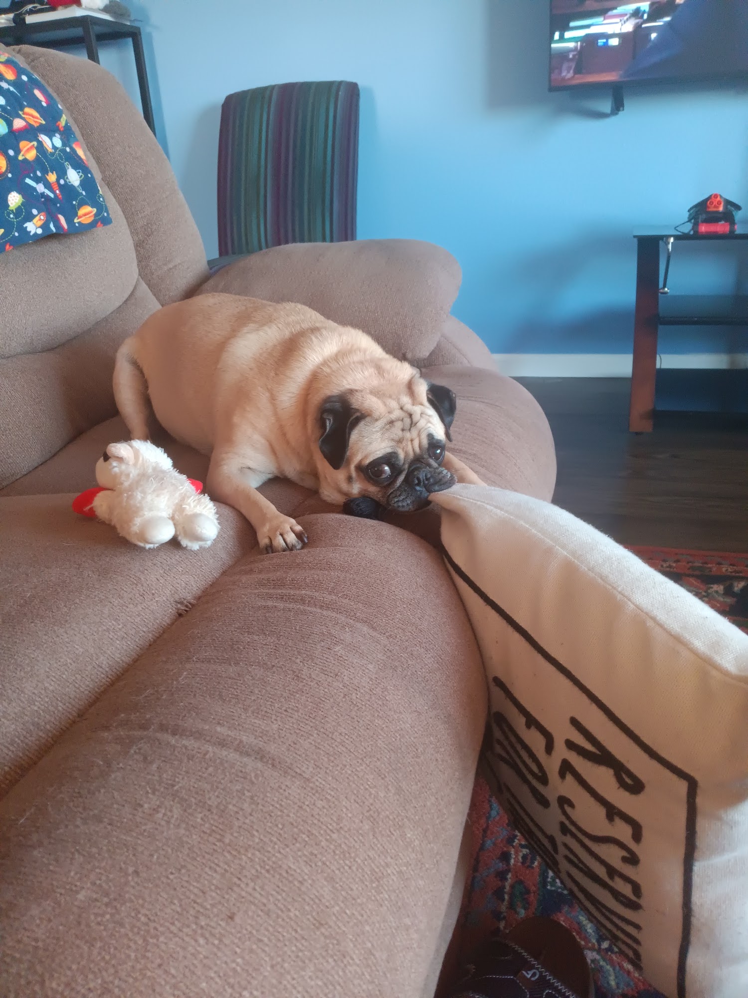 9th Street Barking Lot: An Urban Dog Daycare Oklahoma City